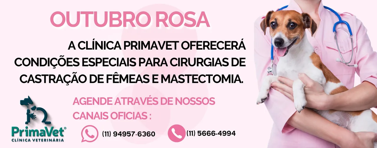 Outubro Rosa: a Clínica Primavet oferecerá condições especiais para cirurgias de castração de fêmeas e mastectomia. Agende através de nossos canais oficiais: WhatsApp (11) 94957-6360 e telefone (11) 5666-4994.