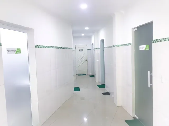 Instalações da Primavet, foto 3 de 20