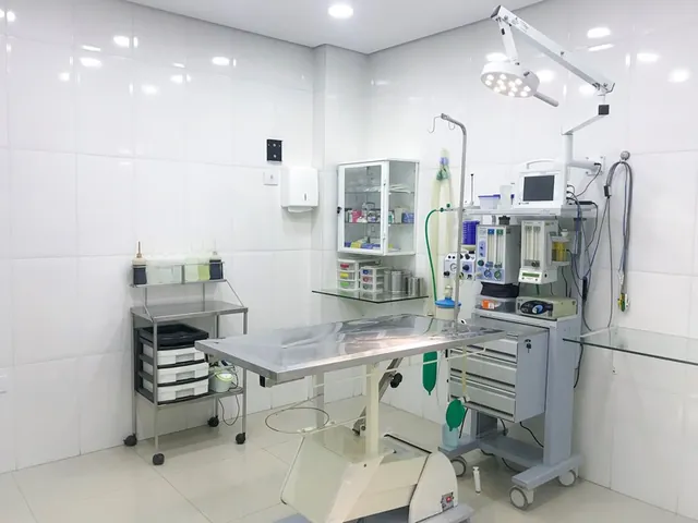 Instalações da Primavet, foto 4 de 20
