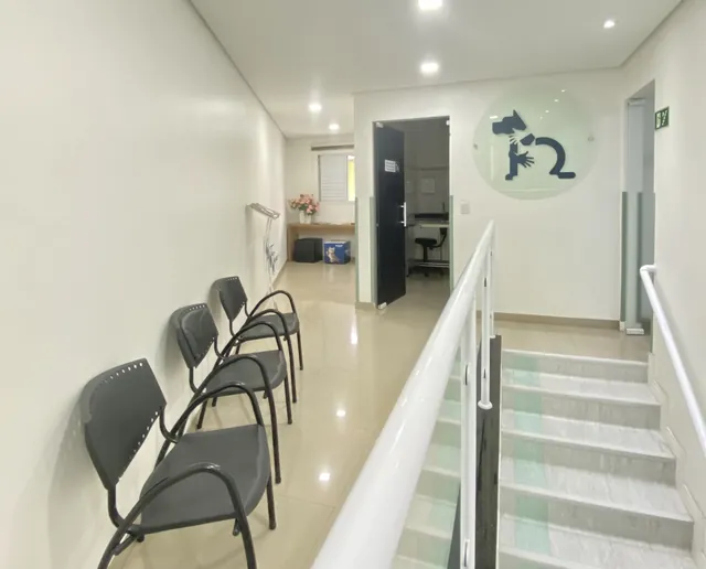 Instalações da Primavet, foto 5 de 20