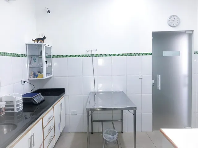 Instalações da Primavet, foto 8 de 20