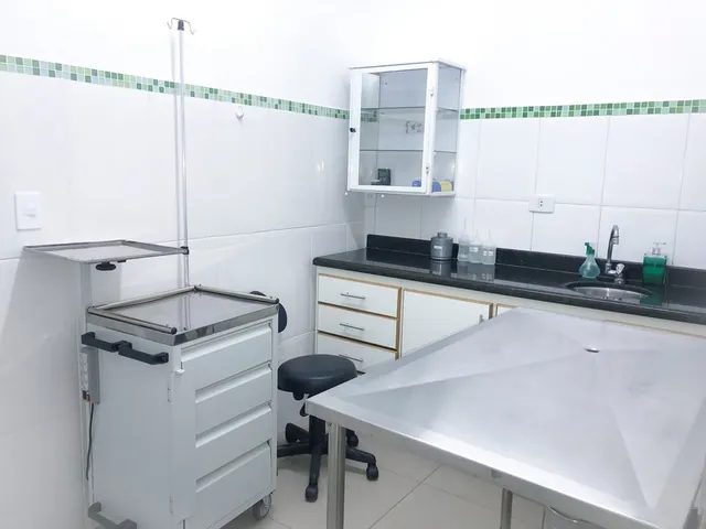 Instalações da Primavet, foto 10 de 20