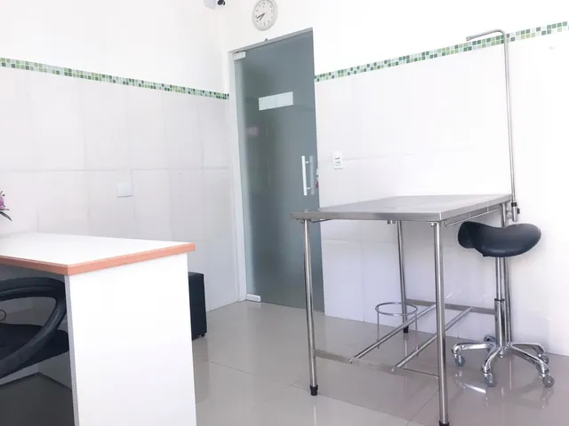 Instalações da Primavet, foto 14 de 20