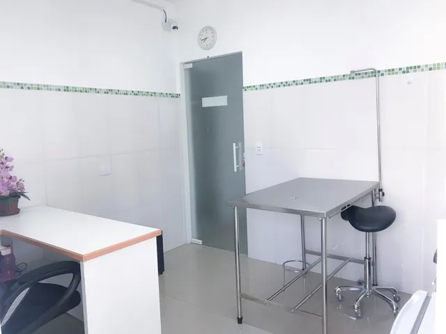 Instalações da Primavet, foto 16 de 20