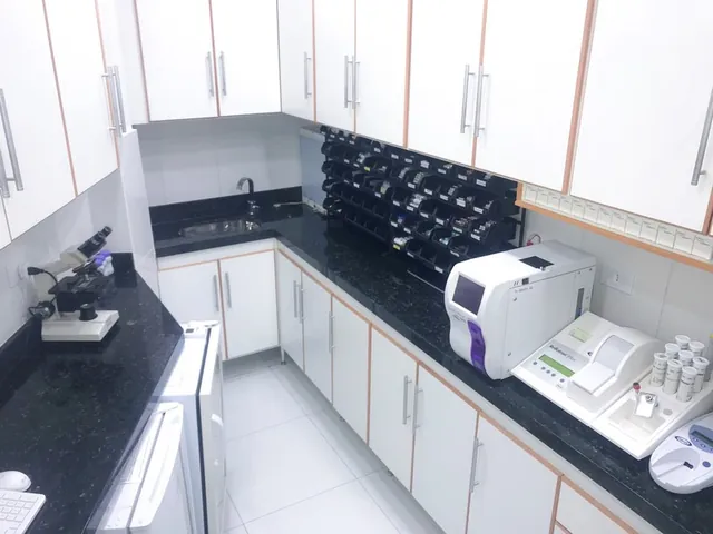 Instalações da Primavet, foto 18 de 20