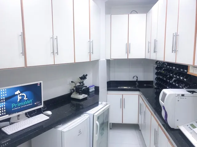 Instalações da Primavet, foto 19 de 20