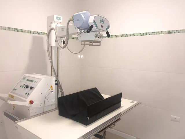 Instalações da Primavet, foto 20 de 20