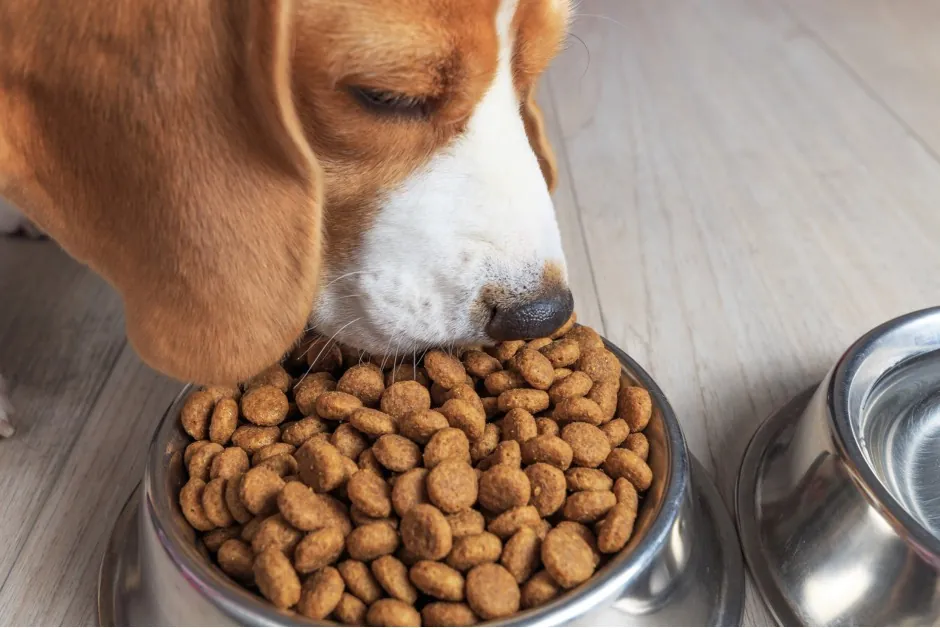 Nutrição