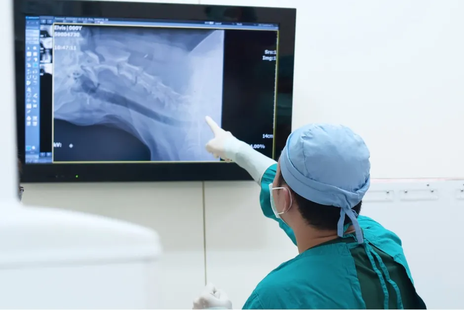 Radiografia